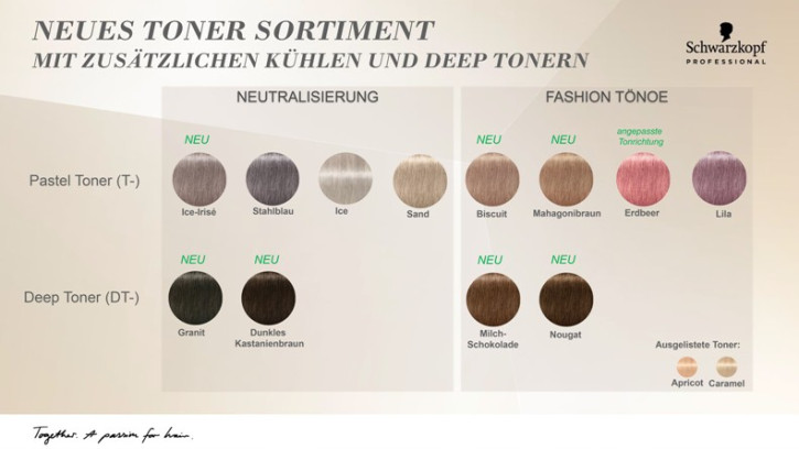 Schwarzkopf BLONDME Farbe TONER Deep Toning Granite  Deep Toning Granite  60 ml